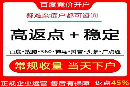 专业SEM服务公司案例分析报告